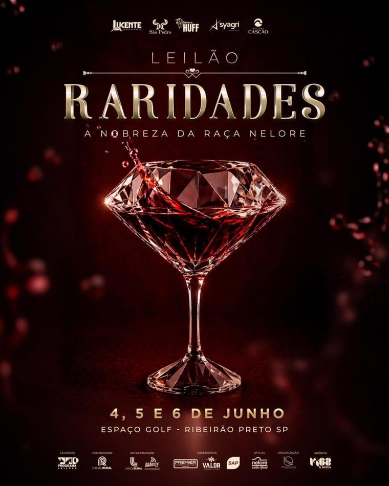 Leilão Raridades